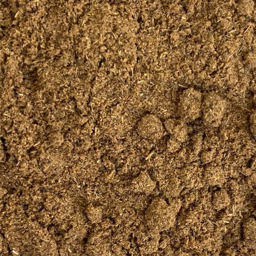 Ground cumin