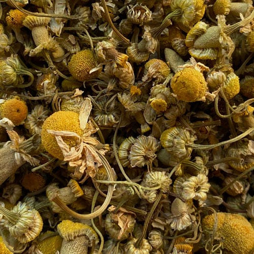 Camomile or &quot;Manzanilla&quot;